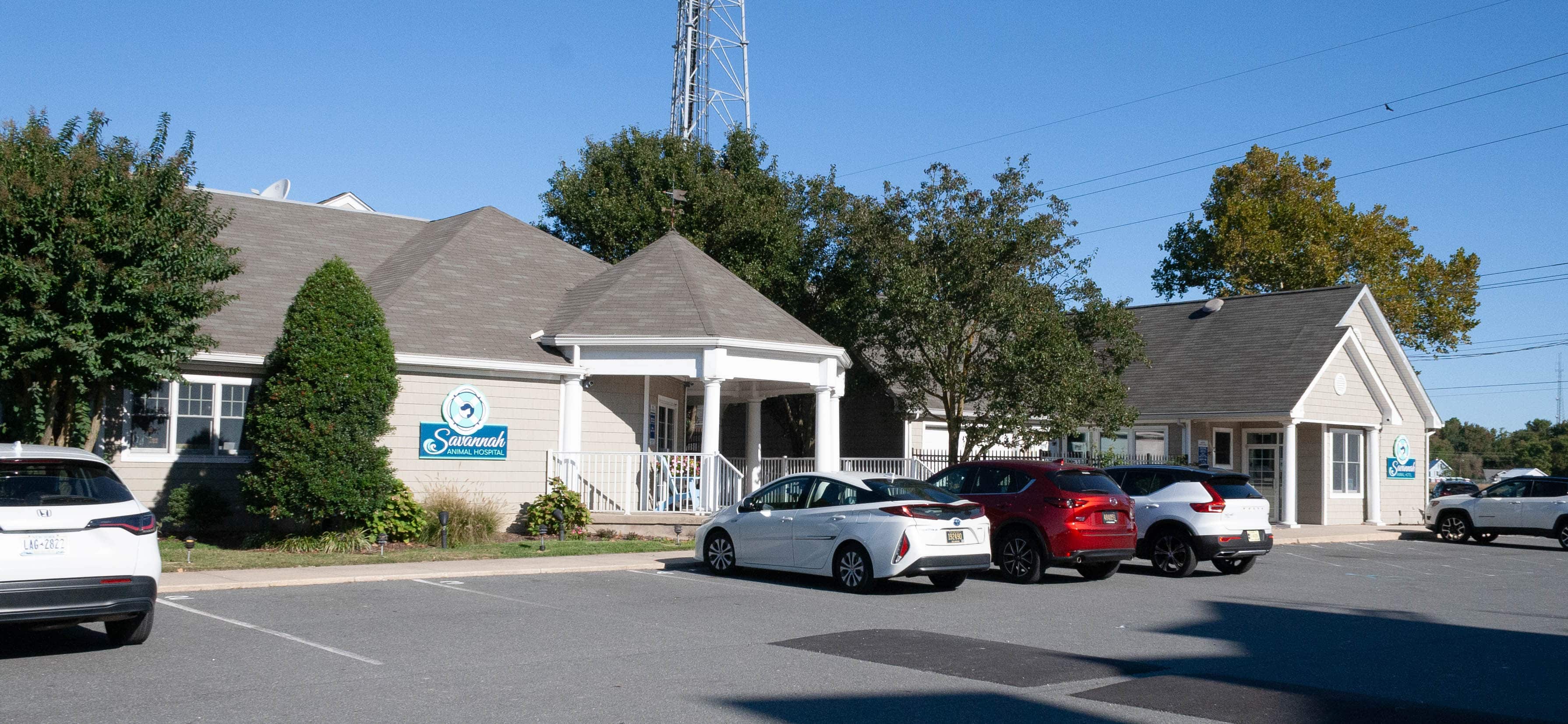 Savannah Road Animal Hospital